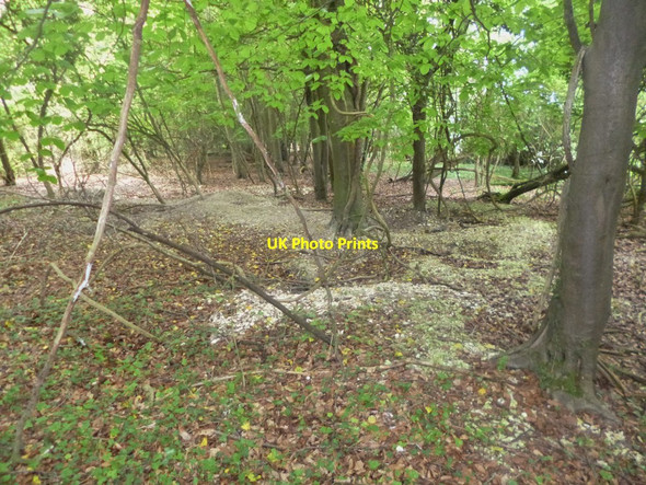 Photo 6"x4" Breamore, badger setts Breamore c2014