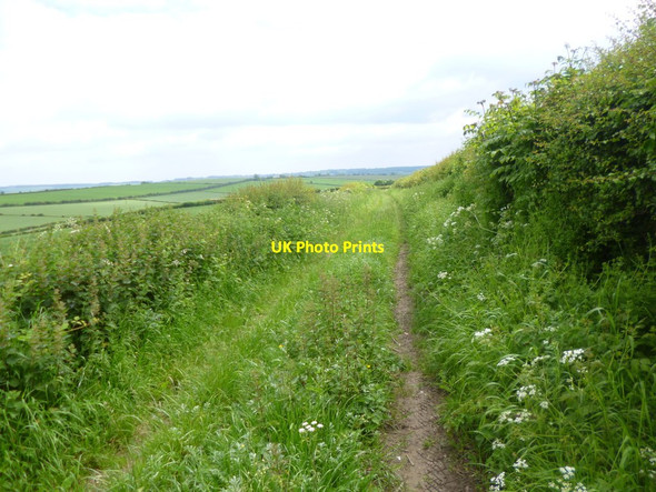 Photo 6"x4" Breamore, farm track Breamore c2014