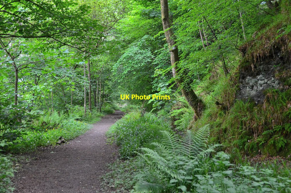 Photo 6"x4" Tramway Trail near Port Bannatyne Port Bannatyne c2014