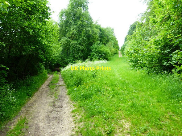 Photo 6"x4" Ways divert on Emmet's Down Coombe\/SU6620 c2014