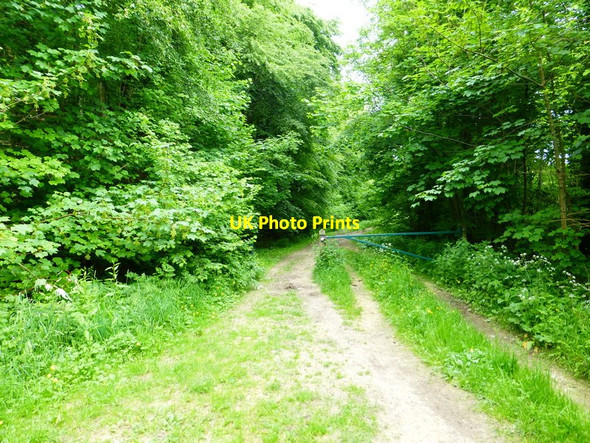 Photo 6"x4" Junction and gate on byway near Drayton Coombe\/SU6620 c2014