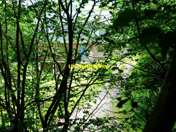 Photo 6"x4" Glimpse of Duncoombe Cottage from Duncoombe Wood Coombe\/SU6620 c2014