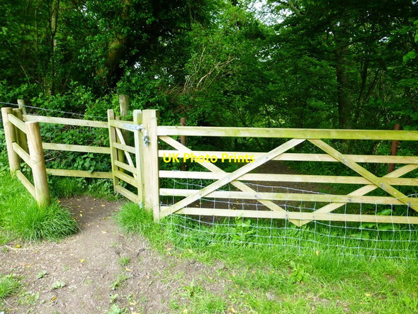 Photo 6"x4" Gateway into Duncoombe Wood Coombe\/SU6620 c2014