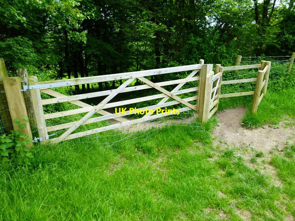 Photo 6"x4" Gate into wood at footpath junction Coombe\/SU6620 c2014