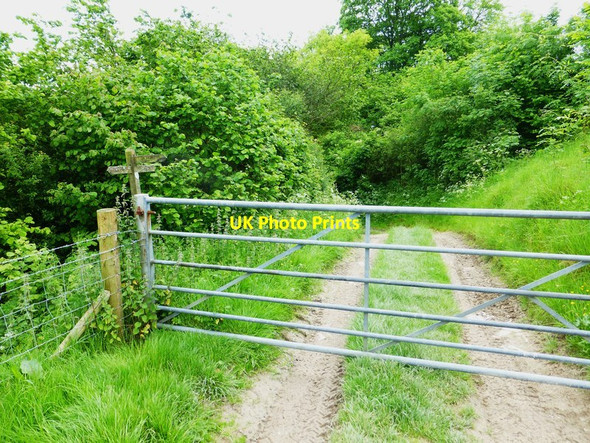 Photo 6"x4" Gate and signpost at footpath junction on Small Down Coombe\/SU6620 c2014