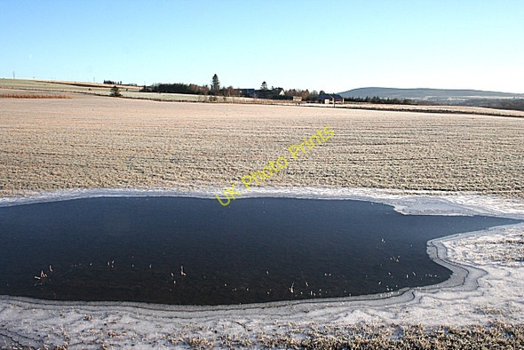 Photo 6"x4" Little Forgie Keith c2009