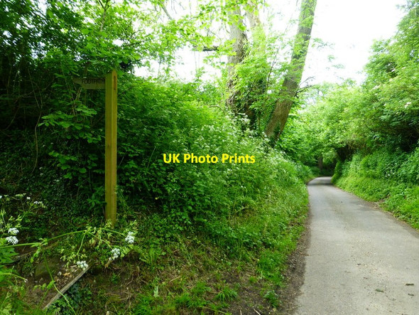 Photo 6"x4" Unnamed lane goes north from footpath junction East Meon c2014