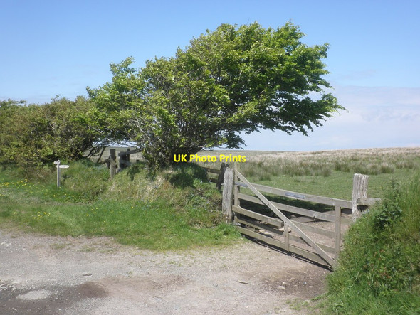 Photo 6"x4" Gate on the Two Moors Way, near Prayway Head Simonsbath c2014