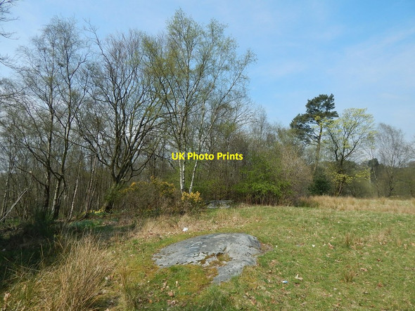 Photo 6"x4" Cup-and-ring-marked rocks Bearsden c2014