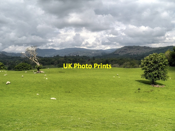 Photo 6"x4" View from Wray Castle High Wray c2014