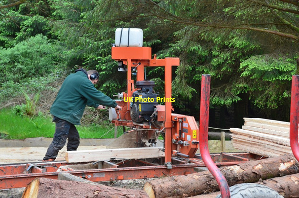 Photo 6"x4" Sawmill work, forest above Rhubodach (2) Colintraive c2014