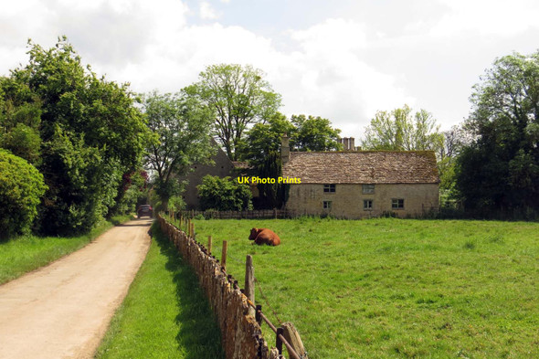 Photo 6"x4" A field by Kelmscott Manor Eaton Hastings c2014