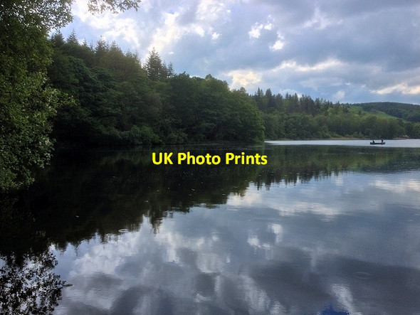Photo 6"x4" Esthwaite Water, Ees Hows Far Sawrey c2014