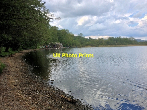 Photo 6"x4" Esthwaite Water, Ridding Wood Far Sawrey c2014