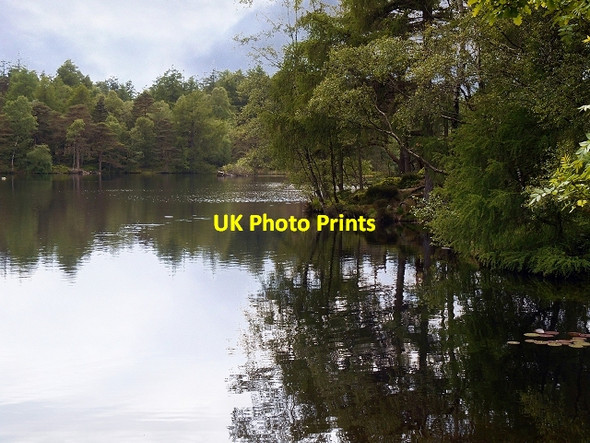 Photo 6"x4" High Dam (Finsthwaite Tarn) Finsthwaite c2014