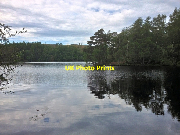 Photo 6"x4" High Dam Finsthwaite c2014