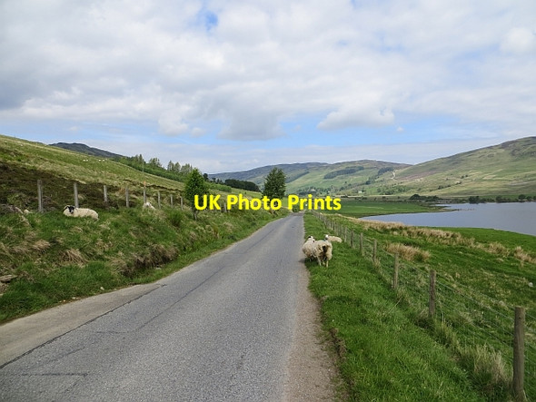 Photo 6"x4" Glen Quaich Allt Cill-fhinn c2014
