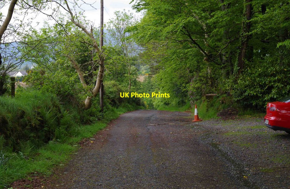 Photo 6"x4" Minor road outside Calary Parish Church, Calary, Co. Wicklow Kilpedder c2014