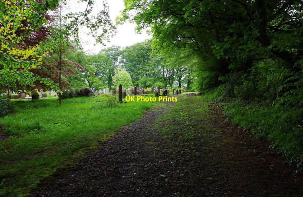 Photo 6"x4" Calary Parish Church graveyard, Calary. Co.Wicklow Kilpedder c2014