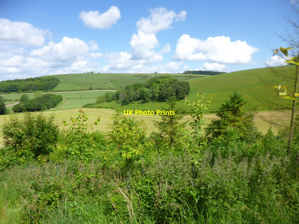 Photo 6"x4" Fontmell Magna, Littlecombe Bottom Fontmell Magna c2014