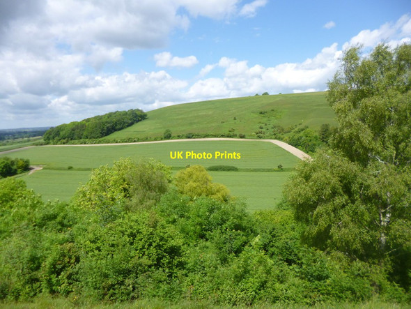Photo 6"x4" Littlecombe Down, view Compton Abbas c2014