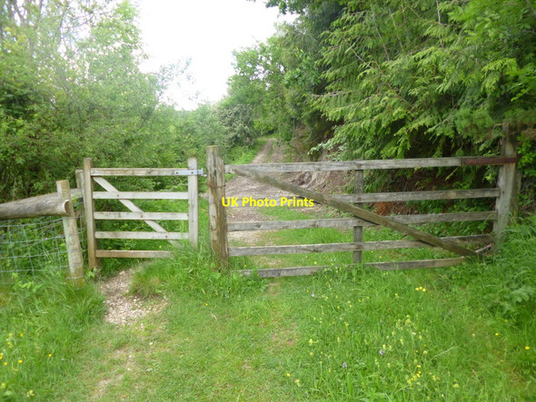 Photo 6"x4" Littlecombe Down, gates Compton Abbas c2014