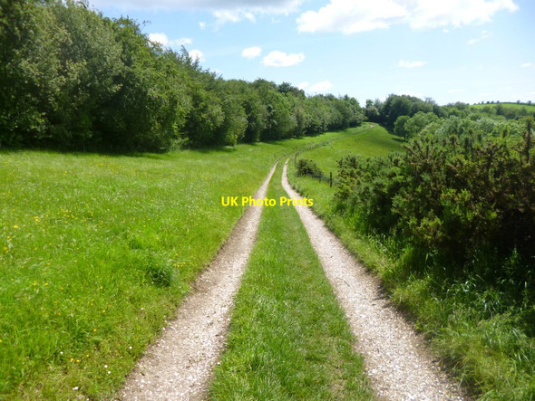 Photo 6"x4" Littlecombe Down, farm track Compton Abbas c2014