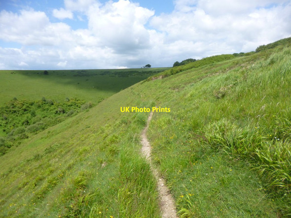 Photo 6"x4" Littlecombe Down, path Compton Abbas c2014