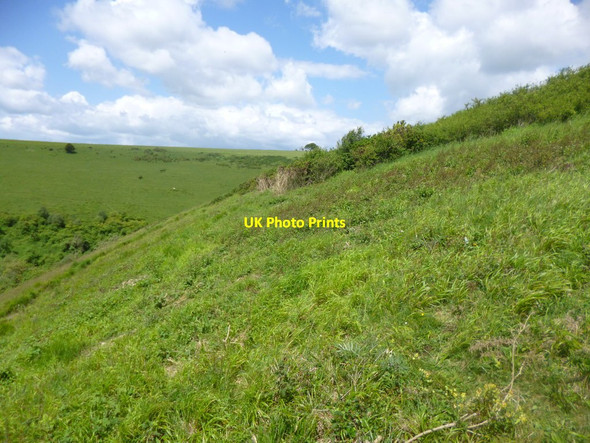 Photo 6"x4" Littlecombe Down Compton Abbas c2014