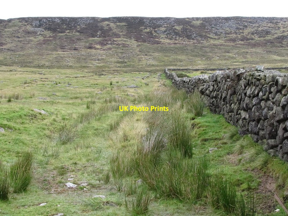 Photo 6"x4" Track leading from the Banns Road towards abandoned workings on Slievenagore Attical c2011