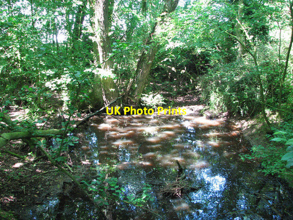 Photo 6"x4" Small pond beside Birch Way Thwaite St Mary c2014