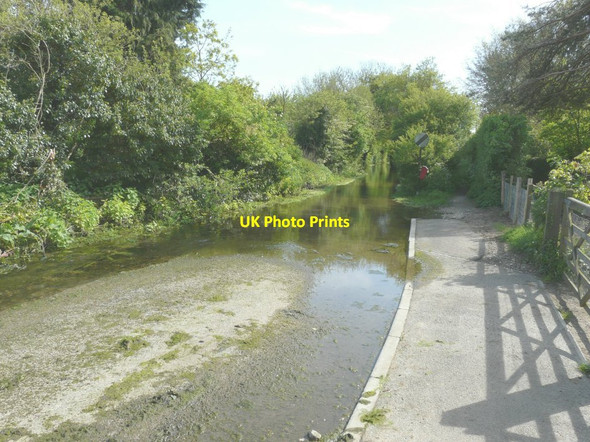 Photo 6"x4" The Nail Bourne flowing along South Barham Road Derringstone c2014 P1