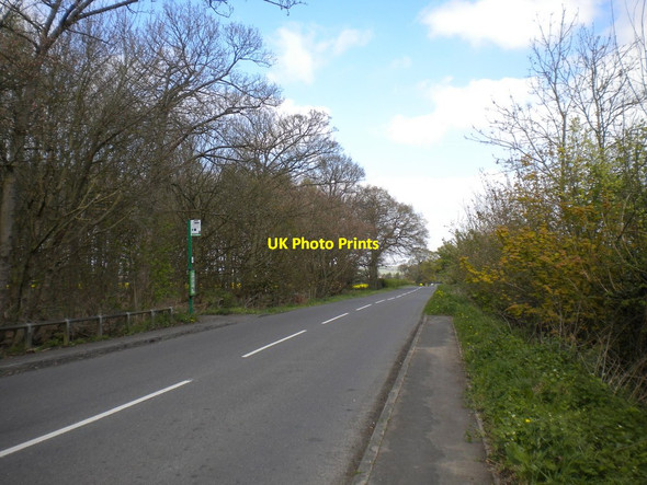 Photo 6"x4" Loughborough Road south of East Leake Stanford Hills c2014