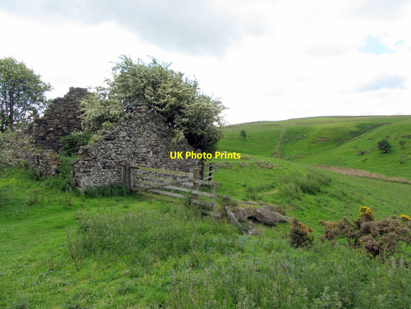 Photo 6"x4" Ruined cottage near Bell's Valley Akeld c2014