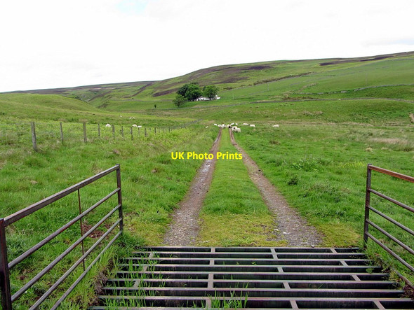 Photo 6"x4" Bridleway to Bell's Valley Cottage Akeld c2014