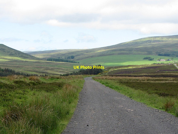 Photo 6"x4" Road to Commonburn House Akeld c2014