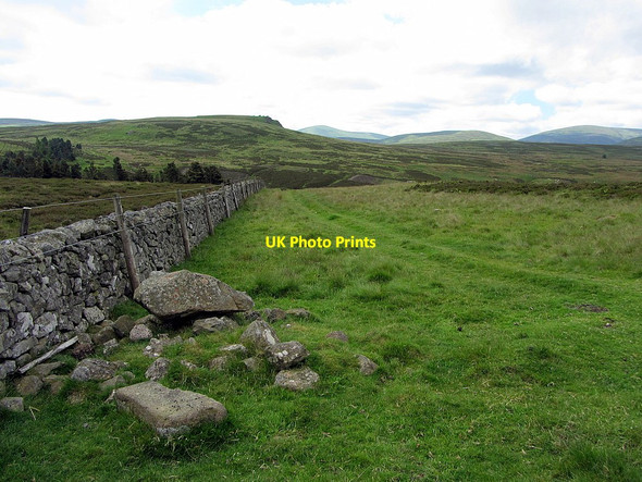 Photo 6"x4" Boundary wall north of Common Burn Akeld c2014