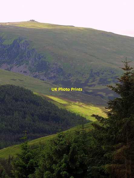 Photo 6"x4" Braydon Crag on West Hill of Cheviot, over The Bizzle West Hill\/NT8921 c2014