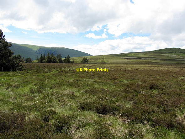 Photo 6"x4" Moorland east of Coldburn Hill Coldburn Hill c2014