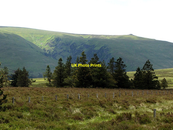 Photo 6"x4" Open forest plantation east of Coldburn Hill Coldburn Hill c2014