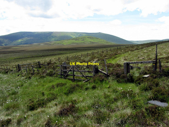 Photo 6"x4" Footpath from Southernknowe to Commonburn House Coldburn Hill c2014