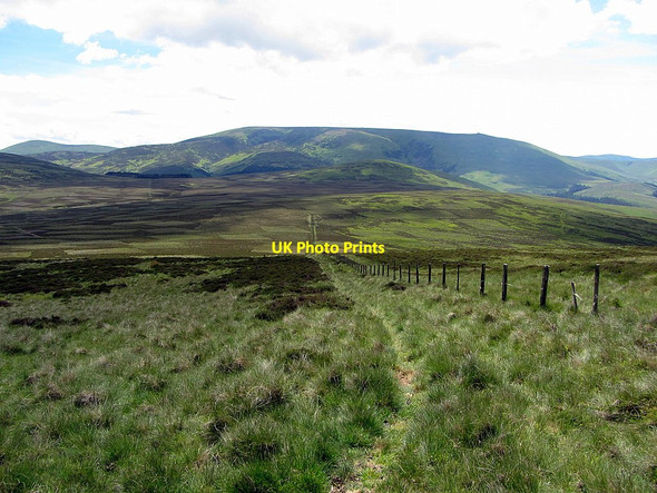 Photo 6"x4" Fence leading south from Hare Law Westnewton\/NT9030 c2014