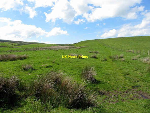 Photo 6"x4" St Cuthbert's Way near Akeld Burn Akeld c2014