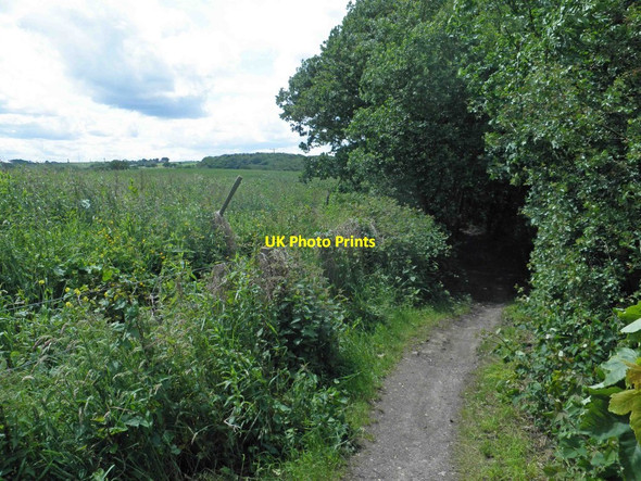 Photo 6"x4" Trans Pennine Trail near Silkstone Common Berry Moor c2014