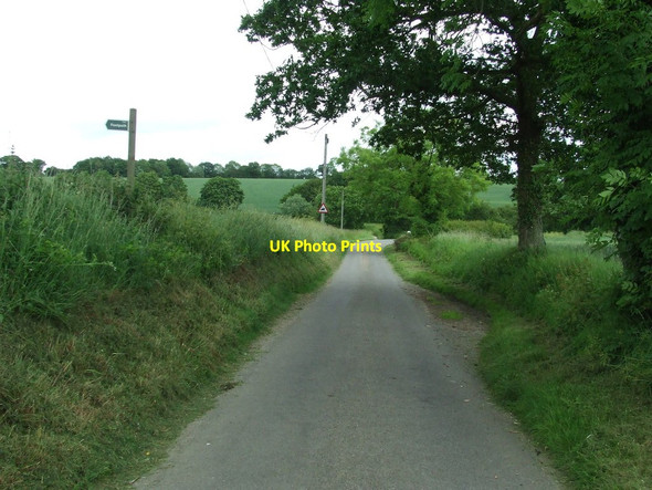Photo 6"x4" Minor Road Chediston c2014