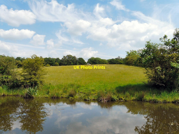 Photo 6"x4" Field by the Peak Forest Canal Hyde\/SJ9494 c2014