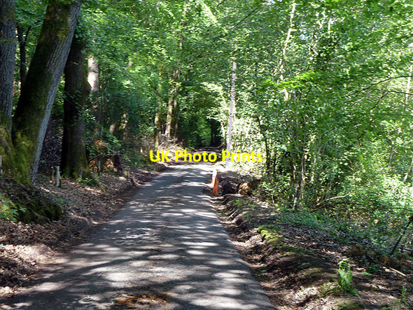 Photo 6"x4" Whitmore Vale Beacon Hill\/SU8736 c2014