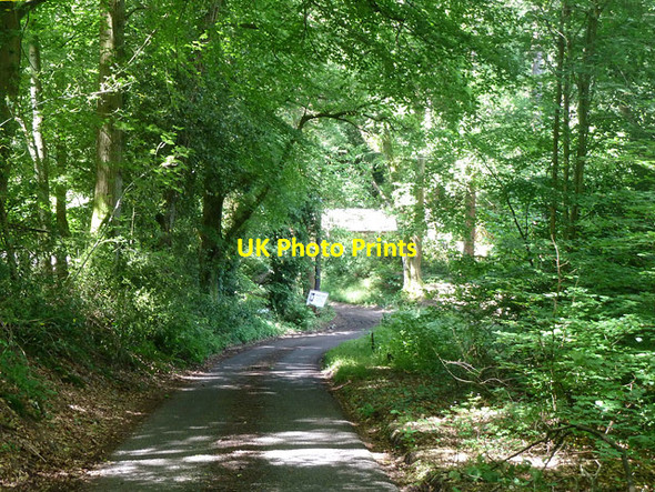 Photo 6"x4" Whitmore Vale Barford\/SU8537 c2014