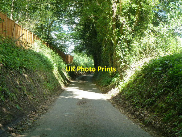 Photo 6"x4" Bacon Lane Barford\/SU8537 c2014