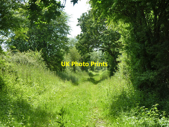 Photo 6"x4" Course of Bentley and Bordon Light Railway Blacknest\/SU7941 c2014
